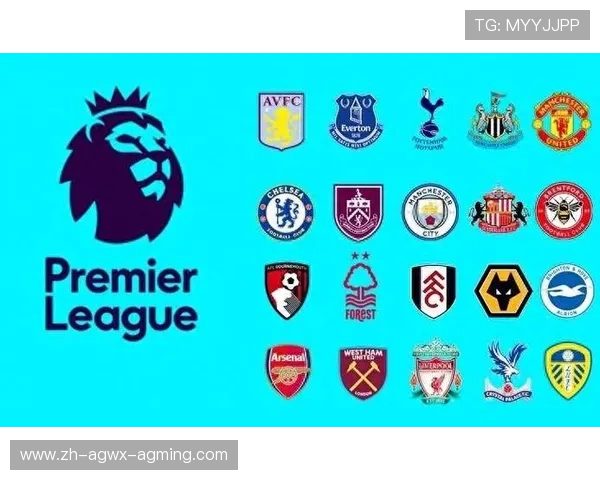 哪支球队历史上仅升入英超一次？