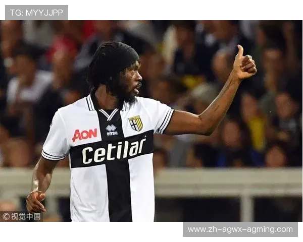 意甲球队在球员转会中的规则与操作指南 意甲球队在球员转会中的规则与操作指南