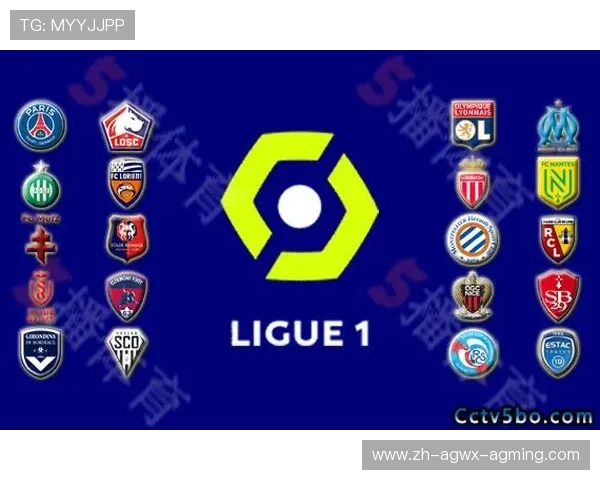 法甲联赛球队积分排名及历年变动趋势