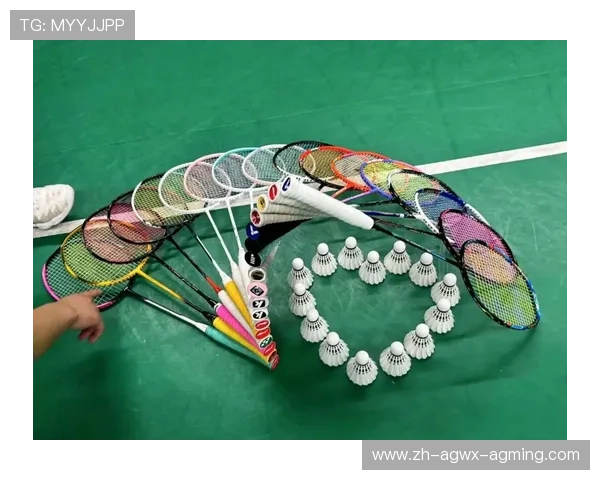 羽毛球球拍好 羽毛球球拍好